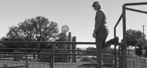 Cowgirl on ranch watching cattle