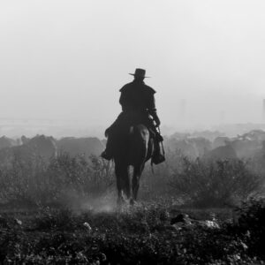 Cowboys on a horse