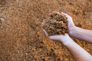 Handful of forage and grain mix