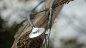 Stethoscope Hanging on Barbed Wire Fence