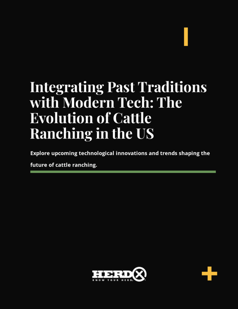 Integrating Past Traditions with Modern Tech The Evolution of Cattle Ranching in the US