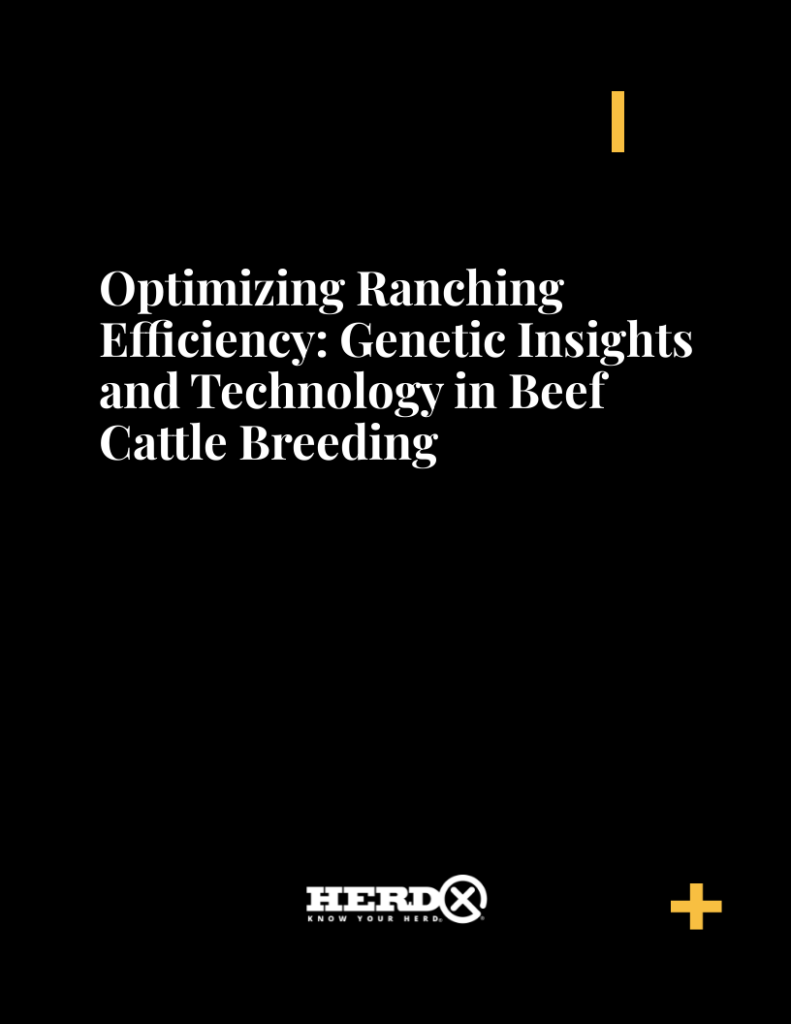 optimizing ranching efficiency genetic insights and technology in beef cattle breeding