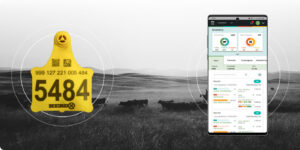 HerdView app and RFID tag