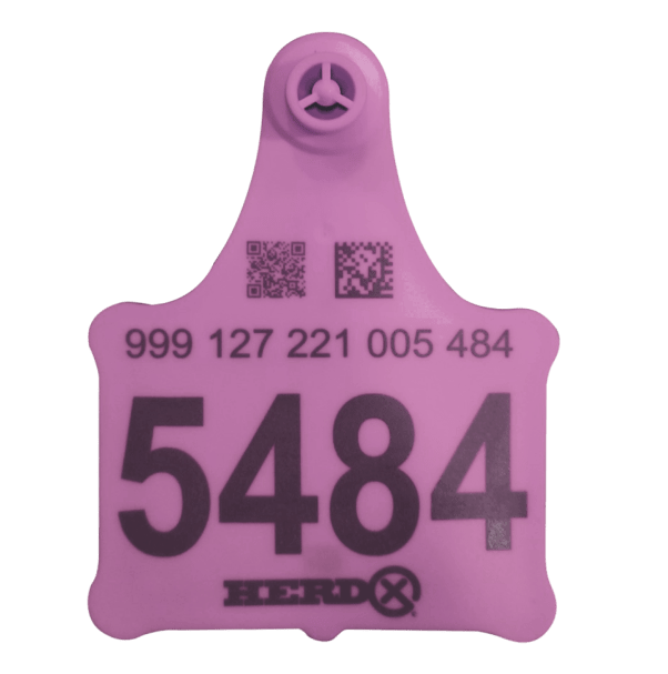 RFID Cattle Tags Pink