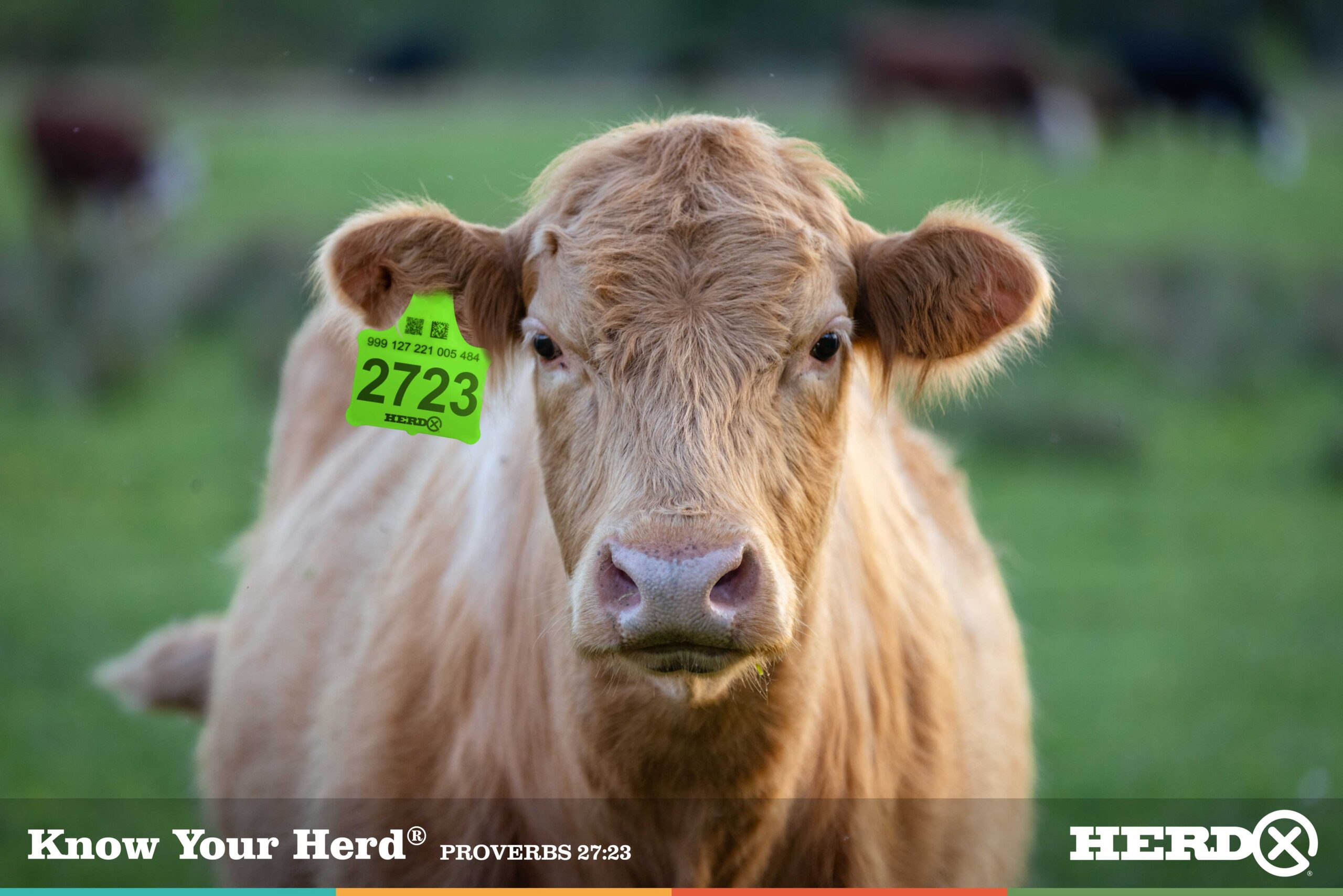 HerdX HerdView Effortless Cattle Management