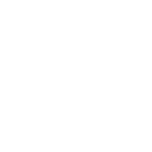 Track Icon