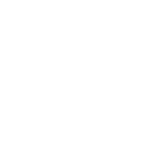 Treatment Icon
